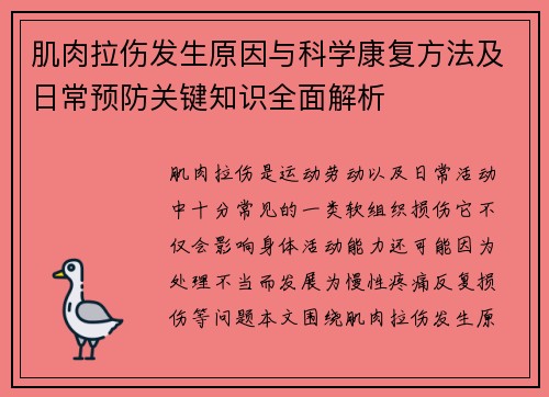 肌肉拉伤发生原因与科学康复方法及日常预防关键知识全面解析 肌肉拉伤发生原因与科学康复方法及日常预防关键知识全面解析